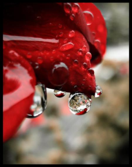 [...Coeurs brisés...]